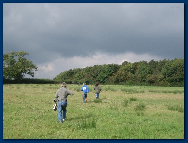 600x449 pixels (107K)